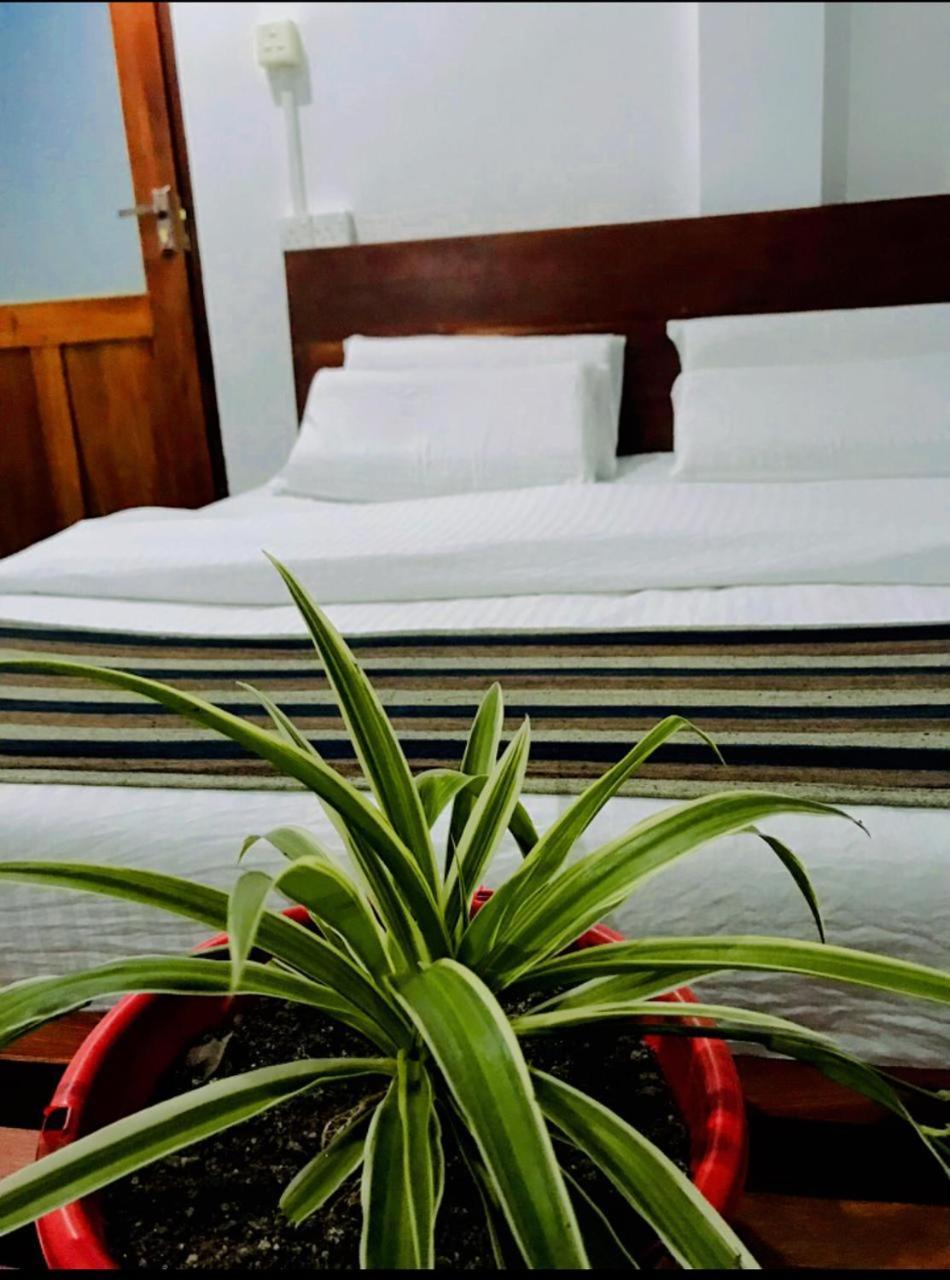 Minthu Homestay Елла Екстер'єр фото